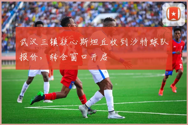 武汉三镇核心斯坦丘收到沙特球队报价，转会窗口开启